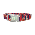 Patriotic Football Dog Collar - plastic silver