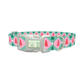 Geometric Pink Green Tree Dog Collar - plastic silver