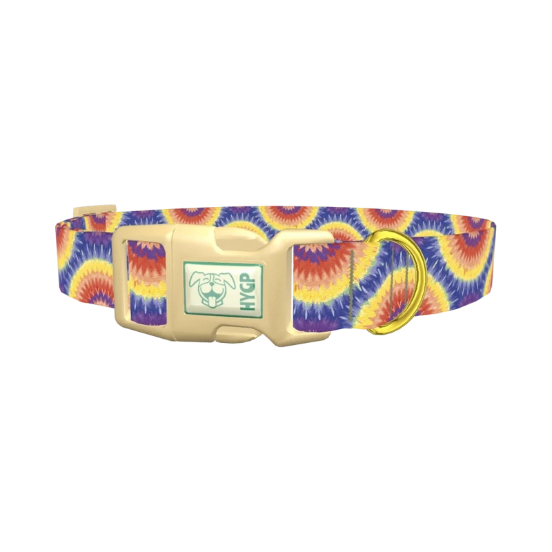 Colorful Burst Dog Collar - plastic gold