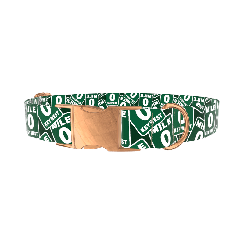 Key West Road Sign Dog Collar - metal gold