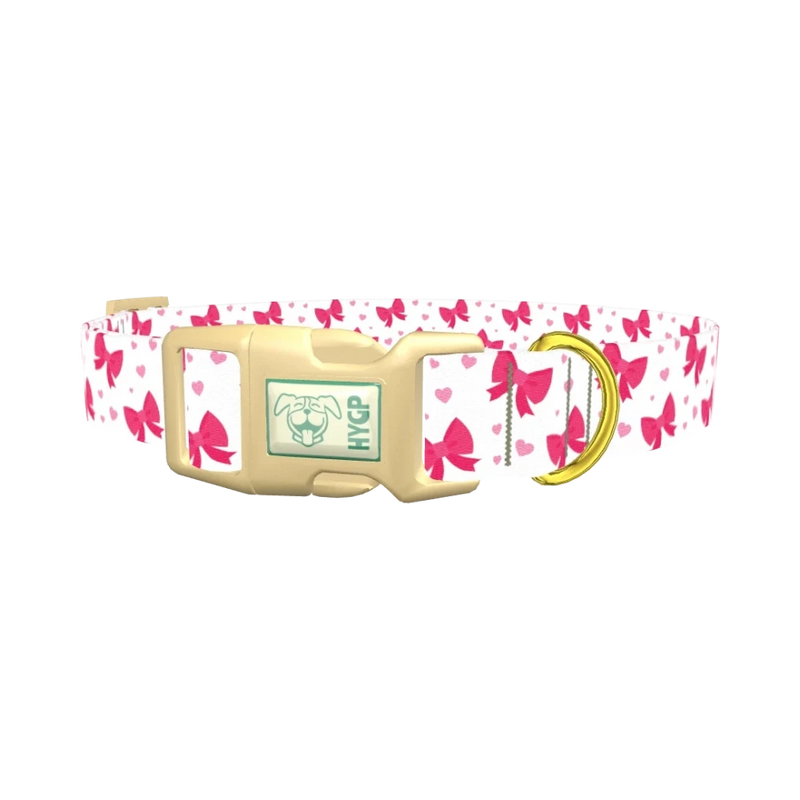 Valentine Heart Ribbon Dog Collar - plastic gold