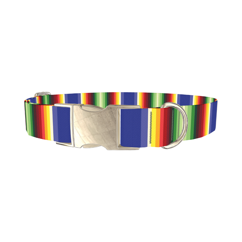 Bold Stripe Dog Collar - metal silver