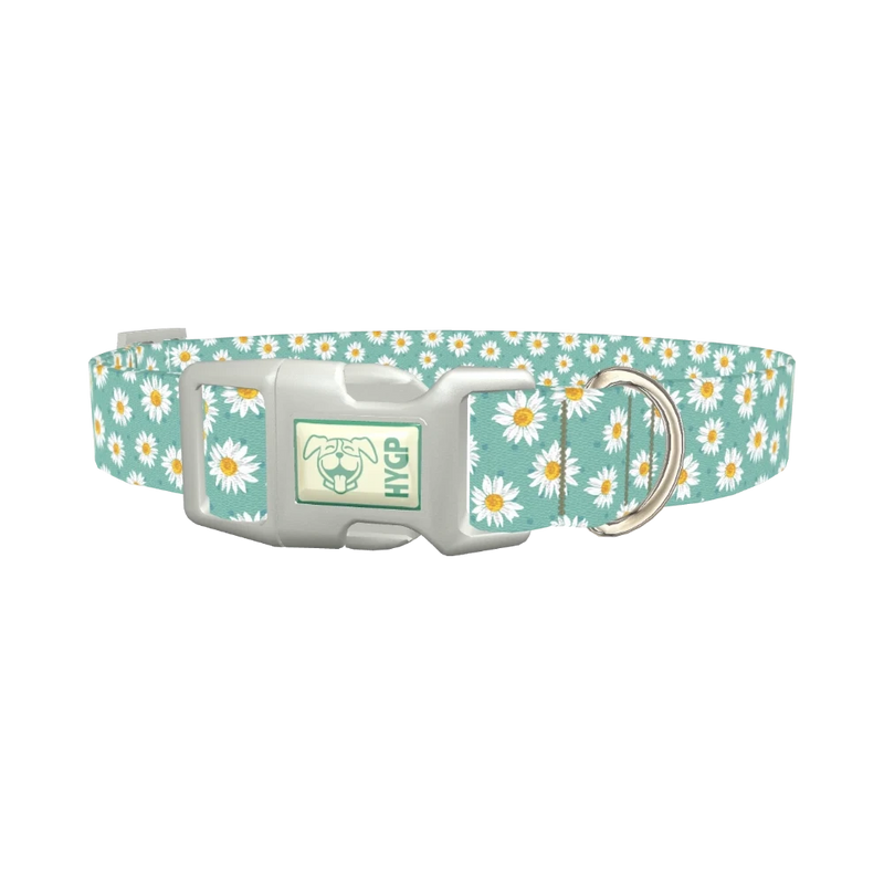 Teal Polka Dot Daisy Dog Collar - plastic silver