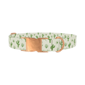 Green Cactus Landscape Dog Collar - metal rose gold