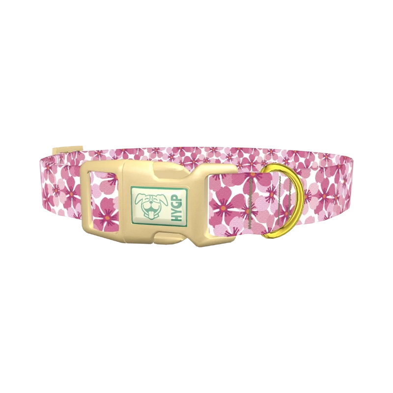 Pink Sakura Blossom Dog Collar - plastic gold