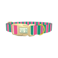 Pink and Green Stripe Dog Collar - plastic gold