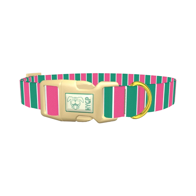 Pink and Green Stripe Dog Collar - plastic gold