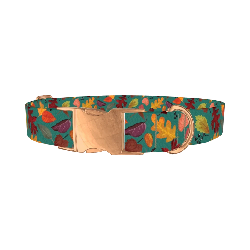 Teal Autumn Foliage Dog Collar - metal rose gold