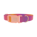 Gradient Pattern Dog Collar - plastic rose gold