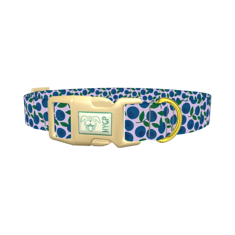Blueberry Fruit Dog Collar - plastic gold