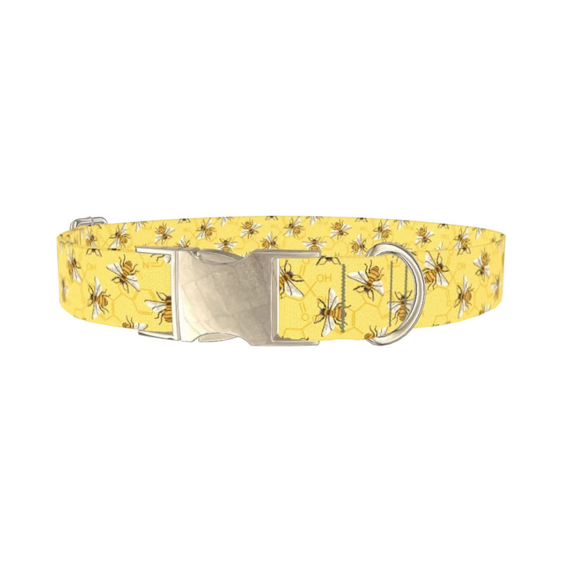 Bee Science Dog Collar - metal silver