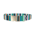 Bright Stripe Dog Collar - metal silver