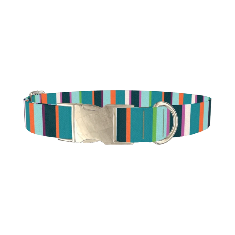 Bright Stripe Dog Collar - metal silver