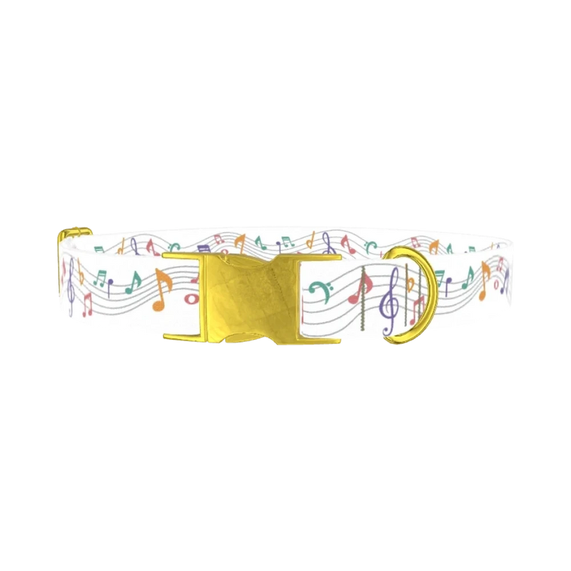 Colorful Music Notes Dog Collar - metal gold