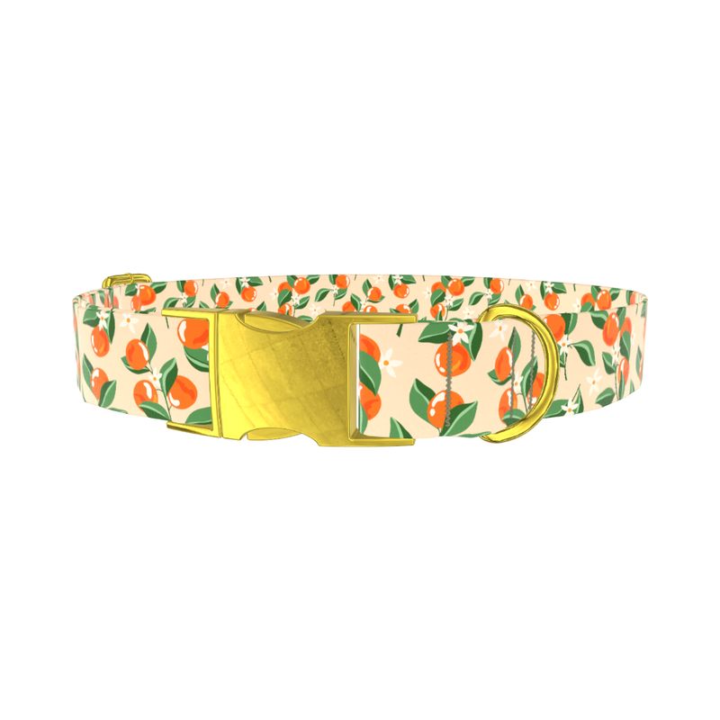 Floral Fruit Dog Collar - metal rose gold