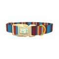 Colorful Stripe Dog Collar - plastic gold