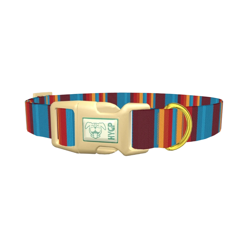 Colorful Stripe Dog Collar - plastic gold