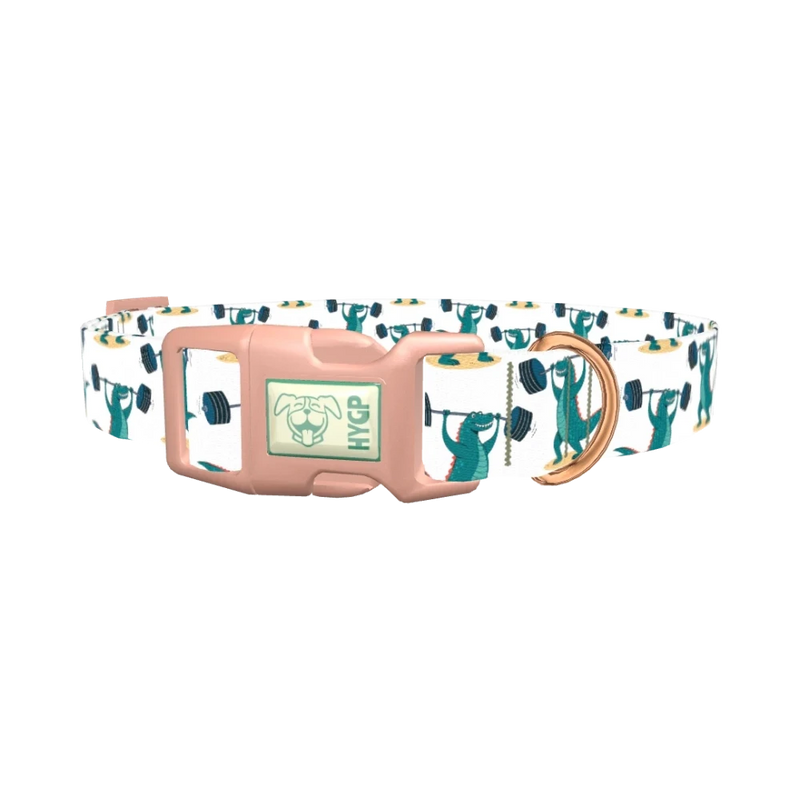Dinosaur Powerlifting Dog Collar - plastic rose gold