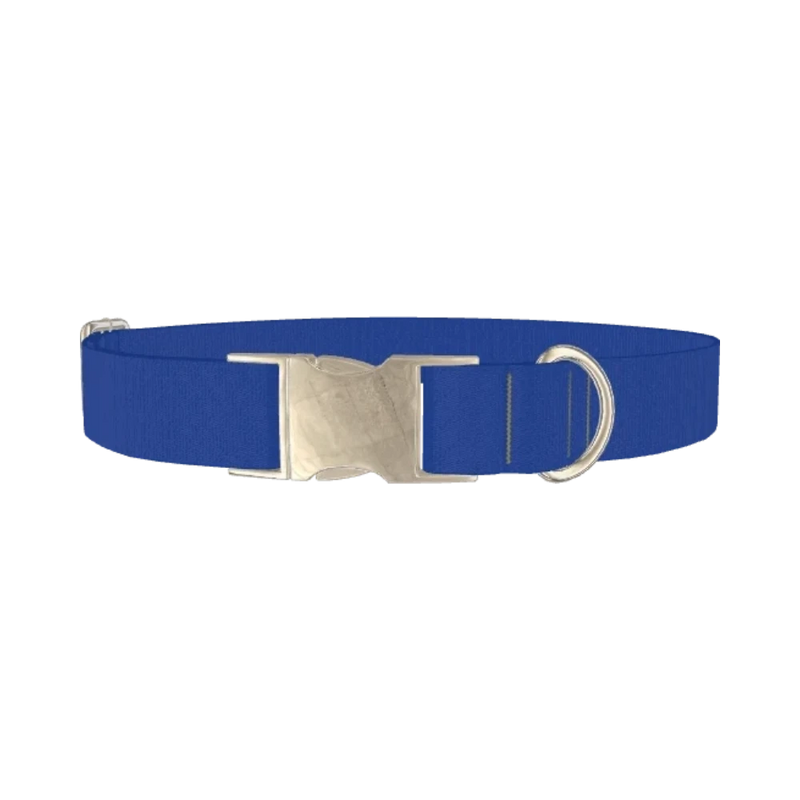 Blue Bonnet Color Dog Collar - metal silver
