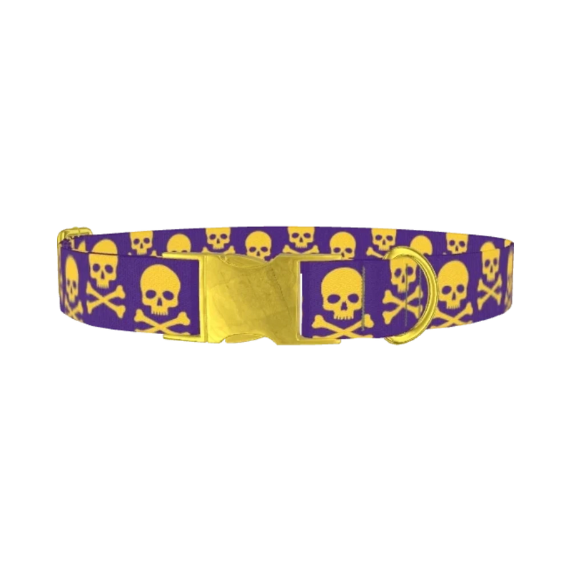 Halloween Skull Dog Collar - metal gold