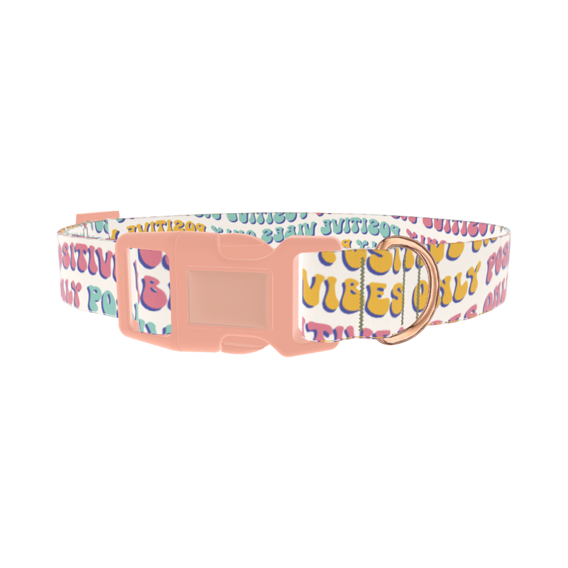 Positive Vibes Text Dog Collar - plastic rose gold
