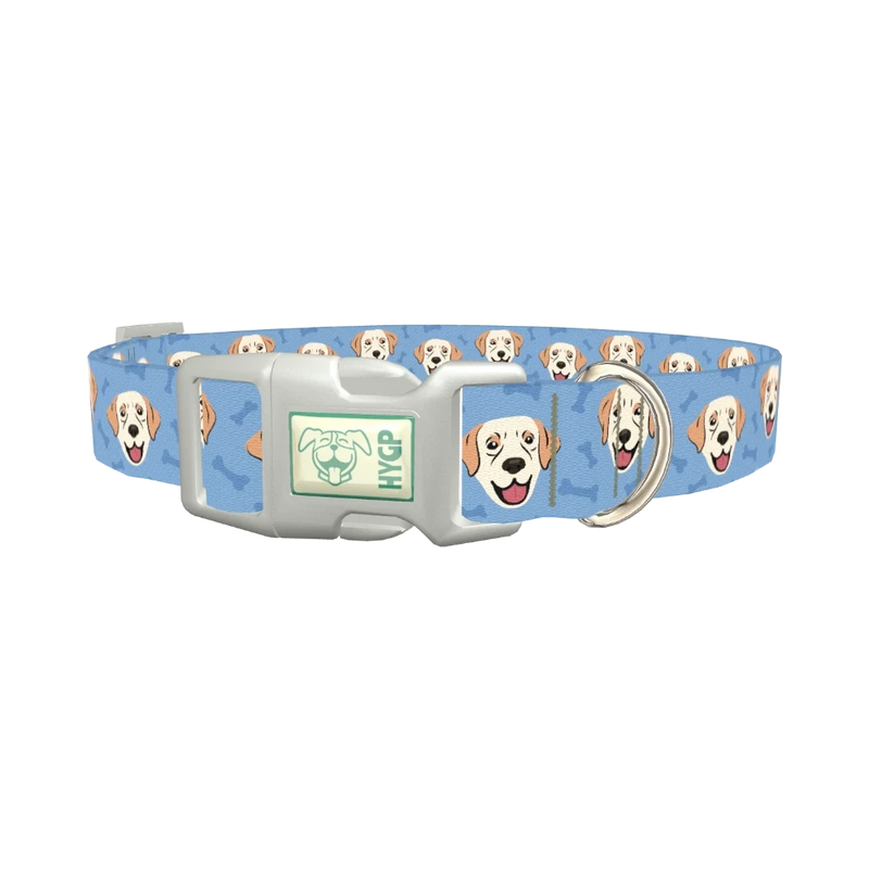Labrador Dog Collar - plastic silver