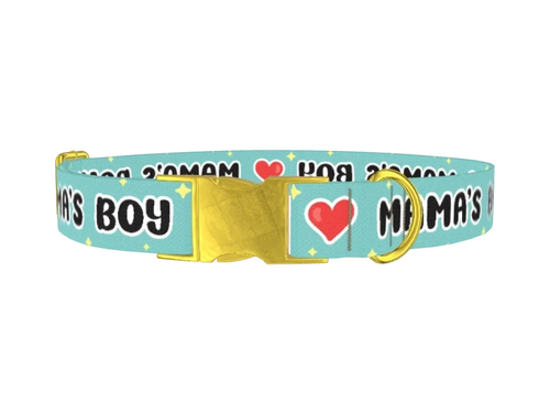 WORDS13_MamasBoy