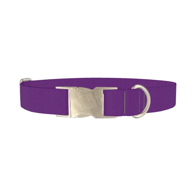 Maximum Purple Color Dog Collar - metal silver