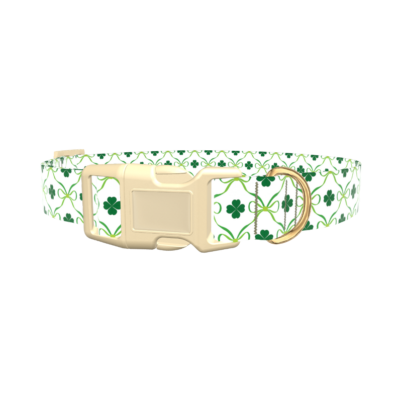 Shamrock Ribbon Dog Collar - plastic silver