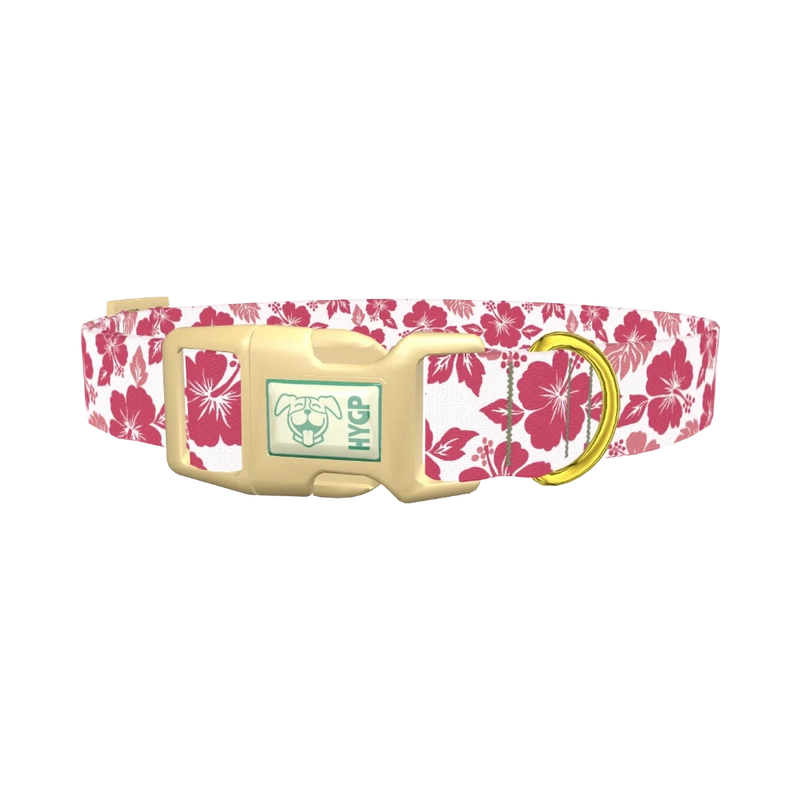 Hibiscus Blossom Dog Collar - plastic gold