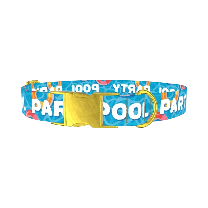 Pool Party Dog Collar - metal gold