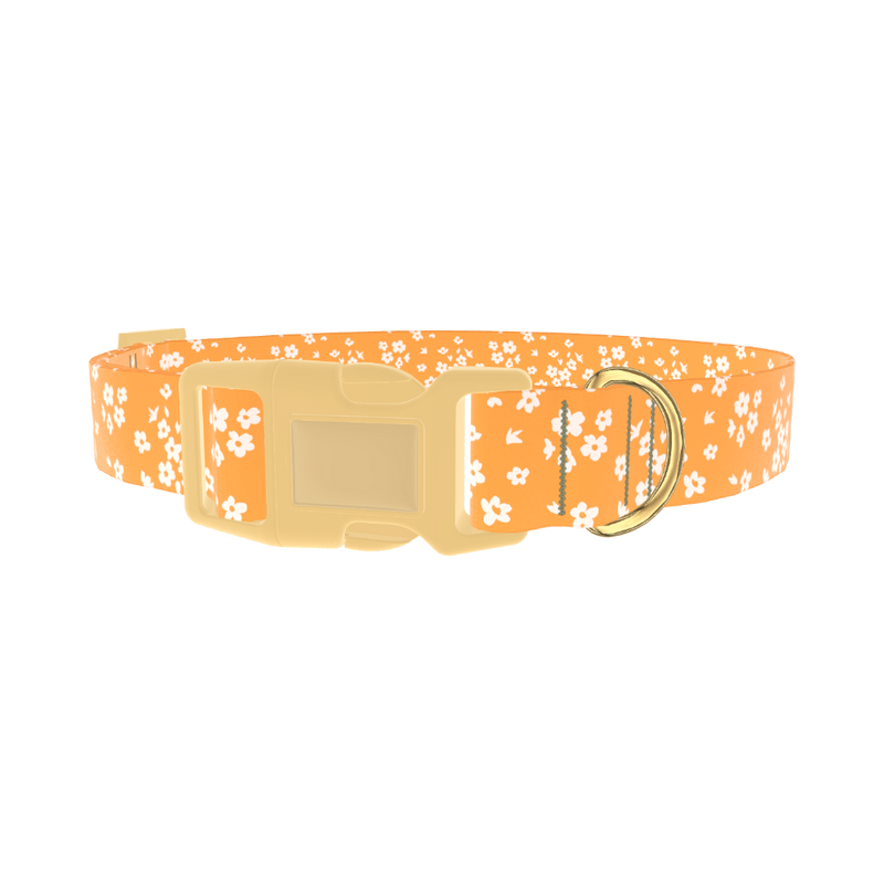 Yellow Blossom Dog Collar - plastic gold