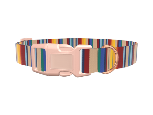 Colorful Striped Dog Collar