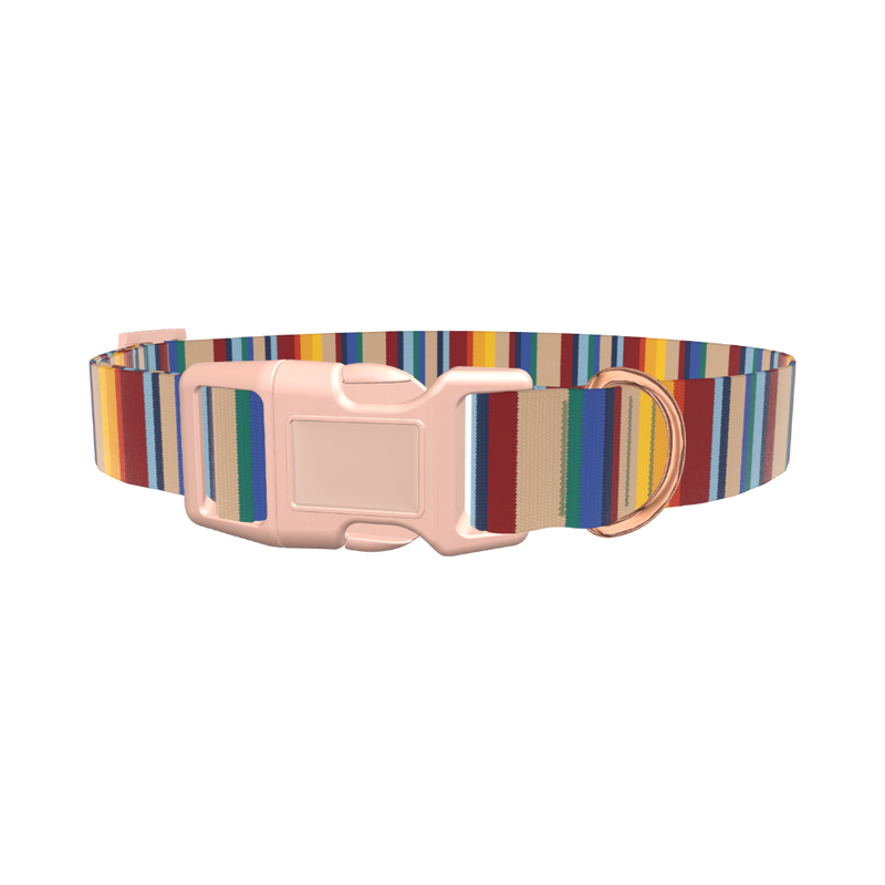 Colorful Striped Dog Collar - plastic gold