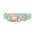 Teal Polka Dot Daisy Dog Collar - plastic rose gold
