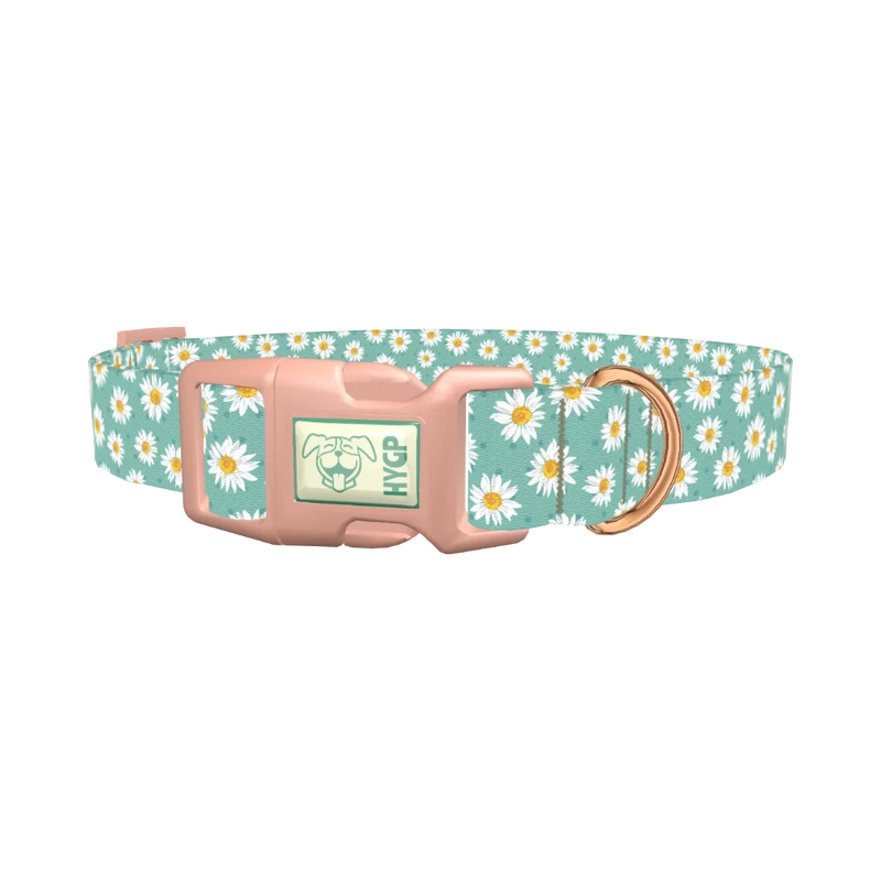 Teal Polka Dot Daisy Dog Collar - plastic rose gold