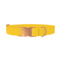 Golden Kiwi Color Dog Collar - metal rose gold