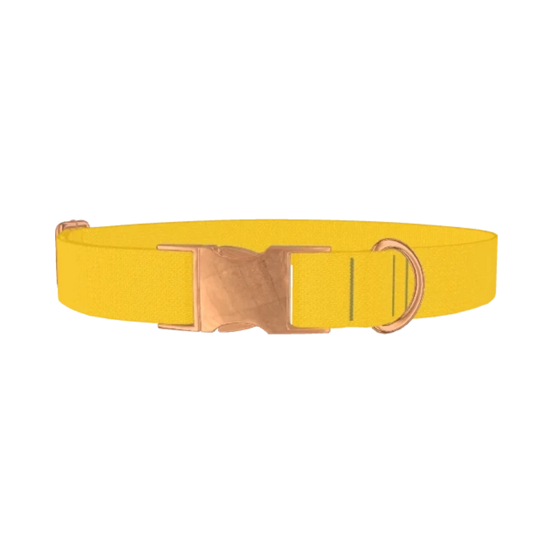 Golden Kiwi Color Dog Collar - metal rose gold