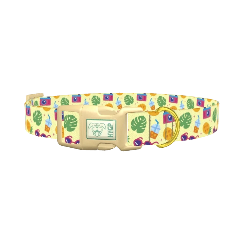 Pineapple Beach Dog Collar - plastic gold
