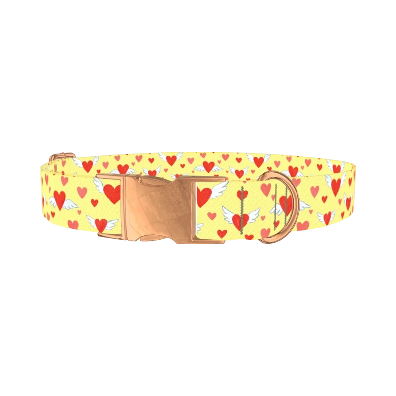 Flying Hearts Dog Collar - metal rose gold