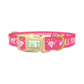 Will You Marry Me Diamond Dog Collar - plastic gold