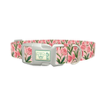 Pink Tulip Blossom Dog Collar - plastic silver