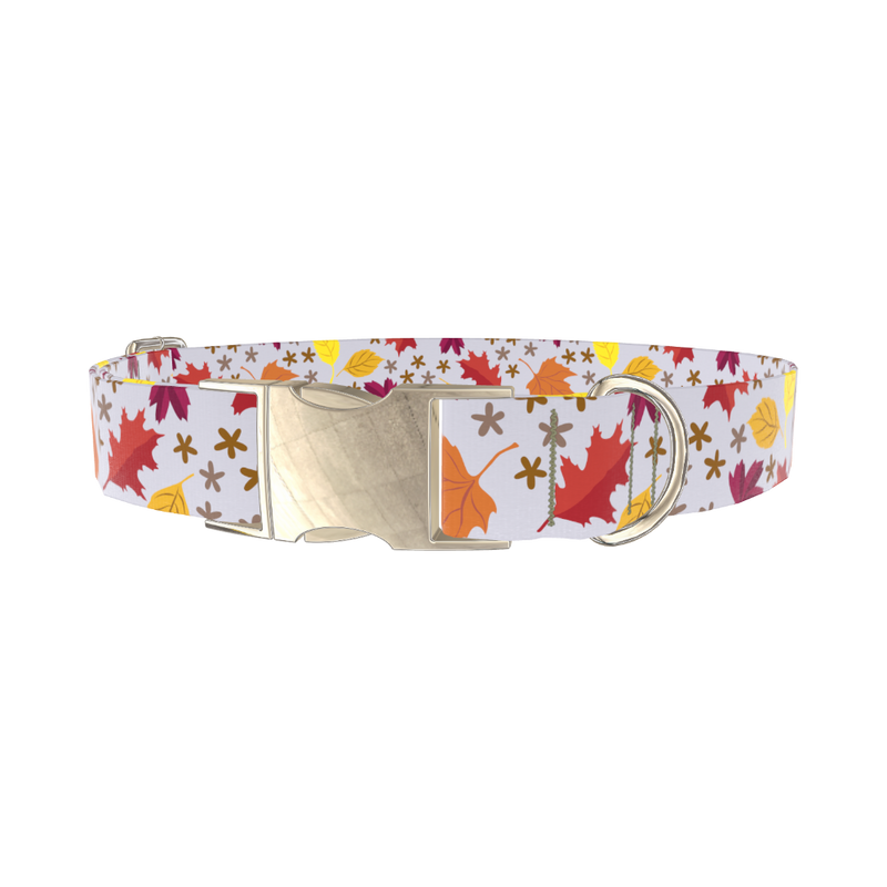 Colorful Fall Leaf Dog Collar - metal silver