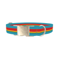 Turquoise Red Stripe Dog Collar - metal silver