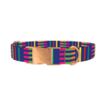 Colorful Dual Stripe Dog Collar - metal rose gold