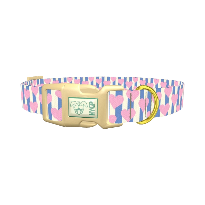 Heart Stripes Dog Collar - plastic gold