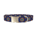 Sunburst Conch Dog Collar - metal silver