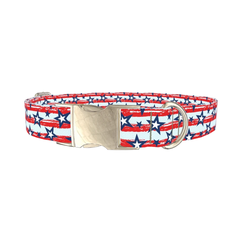 Patriotic Stripes Stars Dog Collar - metal silver