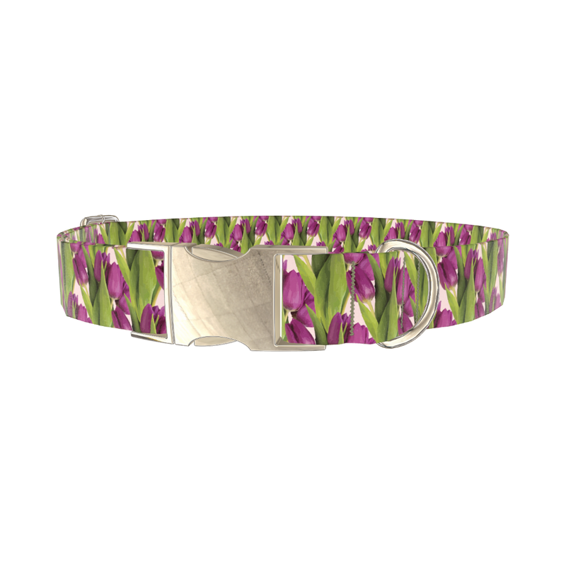 Purple Tulip Pattern Dog Collar - metal silver