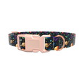 Space Planet Dog Collar - plastic gold